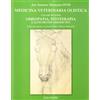 Equitare Medicina veterinaria olistica. Omeopatia, fitoterapia e altri metodi terapeutici (Vol. 2)
