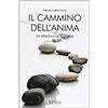 XENIA Il cammino dell'anima in medicina cinese