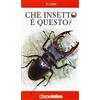 Ricca Editore Che insetto è questo? Ediz. illustrata