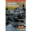 Marsilio Il guardiano del faro. I delitti di Fjällbacka (Vol. 7)