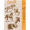 Il Castello Cavalli. Modelli per disegnare con griglia