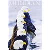 Editoriale Domus Alaska