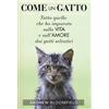 My Life Come un gatto. Tutto quello che ho imparato sulla vita e sull'amore dai gatti selvatici