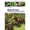 Edagricole Calderini Mora di rovo sul balcone, in terrazzo, in giardino