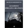 Mnamon Auschwitz Spiegato a mia figlia