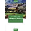 EDAGRICOLE Siepi e filari campestri. Progettazione, realizzazione e mantenimento