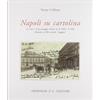 Grimaldi & C. Napoli su cartolina. La città e il suo paesaggio urbano tra il 1895 e 1940 illustrata su 250 cartoline «viaggiate». Ediz. illustrata