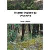 Lulu Il setter inglese da beccacce