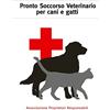 lulu.com Manuale Di Pronto Soccorso Veterinario