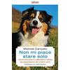 Infinito Edizioni Non mi piace stare solo. Come prevenire e affrontare l'ansia da separazione del nostro cane