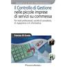 FrancoAngeli Il controllo di gestione nelle piccole imprese di servizi su commessa. Per studi professionali, società di consulenza, di ingegneria e di informatica