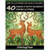 CREATESPACE Libri da Colorare per Adulti Volume 2: 40 Disegni e Motivi Rilassanti contro lo Stress, Serie di Libri da Colorare per Adulti da ColoringCraze