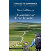 WAYS. DENTRO IL CAMMINO Ho camminato con le stelle. Santiago de Compostela. Mille chilometri a piedi da Lourdes a Muxia