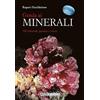 Ricca Editore Guida ai minerali. 700 minerali, gemme e rocce