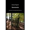 ilmiolibro self publishing Geomanzia