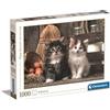 Clementoni Does not apply gattino Puzzle, 1000 Pezzi, Multicolore, 39340