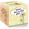 Feel Green Celebrations Ecocube, Semi di soffione, Certificato Biologico, cubo di Legno con Incisione Laser Schön, Dass ES Dich Gibt, Idea Regalo sostenibile, Set di Coltivazione, Made in Austria