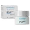 SCHRAMMEK Hydra Maximum Day Cream, 1 x 50 ml