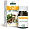 Dr Giorgini Integratore Alimentare, Monocomponenti Erbe Angelica Cinese Estratto Titolato all'1% in Ligustilidi Pastiglie - 30 g