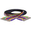 Hosa CPP-802, Unbalanced Snake, 1/4 in TS to Same, 2 m