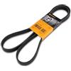 Contitech 6 PK 1698 Cinghie Trapezoidale