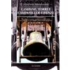 Le Lettere Campane, torri e campanili di Firenze. Un insieme di notizie e aneddoti ne svelano storia, arte e cronaca, in una singolare quanto inedita prospettiva