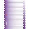 Brunnen Colour Code - Inserti A4 per registro ad anelli, 12 pezzi, diversi colori viola