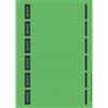 Leitz Etichette adesive A4 stampabili al PC per raccoglitori a leva in cartone, Formato corto e stretto, Verde, 39 x 192 mm, Cartoncino, 16862055, Confezione da 150