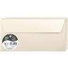 Clairefontaine 50045C - Pacco da 20 Buste autoadesive - Formato DL (11x22cm) - 120g/m² - Colore Avorio iridescente -Inviti Eventi e Corrispondenza - Gamma Pollen - Carta Premium Liscia