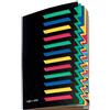 Pagna 24141-04 - Organizer da scrivania con 12 divisori colorati, copertina posteriore flessibile, stampa 1-12, colore: Nero