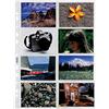 Favorit 100460145 - Busta Porta Foto 16 Tasche, 10 x 7 cm, Trasparente