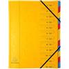 Exacompta 54129E - Cartella portadocumenti in cartoncino Colorspan extra resistente, formato DIN A4, 12 scomparti colorati e 2 elastici in gomma con stampa organizzativa, colore: giallo