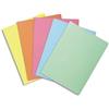 Exacompta - Cod. 850000E - 1 Confezione da 250 cartelline semplici SUPER 60 - Cartoncino da 60g certificato PEFC - Formato 22x31cm per A4 - Colori casuali