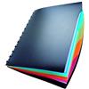 Durable 243501 Duralook Style, portalistino per documenti f.to A4, 20 buste rimovibili, con 4 divisori colorati, nero