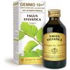 Dr Giorgini Integratore Alimentare, Faggio Gemmoderivato Concentrato Liquido Analcoolico - 100 ml
