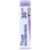 Boiron Thuya Occidentalis 30CH globuli omeopatici 1 tubo