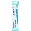 Boiron Arnica Montana 200CH granuli omeopatici tubo da 4 g