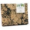 Magic Garden Seeds Piante medicinali utili - set regalo di semi con 5 erbe con potere curativo