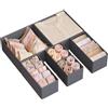 SONGMICS Divisore per Cassetti, Organizzatore per Armadio, Set di 6, Scatole di Stoccaggio Pieghevoli in TNT, per Calze, Biancherie, Reggiseni, Cravatte, Sciarpe, Grigio Ardesia RDZ06G
