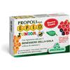 Specchiasol EPID® JUNIOR COMPRESSE 30 Compresse