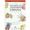 Franco Muzzio Editore Atlante di anatomia umana. Corsi di anatomia macroscopica