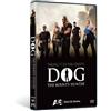 Lionsgate Dog The Bounty Hunter: Taking It To The Streets [Edizione: Stati Uniti]