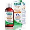 Gum Paroex 0,20% formula classica collutorio per la salute delle gengive 300 ml