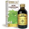 Dr Giorgini Integratore Alimentare, Acero Campestre Gemmoderivato Concentrato Liquido Analcoolico - 100 ml