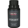 Sintoflon Hydrodrive Rivestimento Antifrizione per Circuito Idraulico, 125 ml