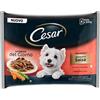 Cesar Delizie del Giorno Multipack Selezione in Salsa - Cesar - Delizie del Giorno Multipack Selezione in Salsa - 4X100GR