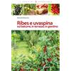 Edagricole Calderini Ribes e uvaspina sul balcone, in terrazzo, in giardino