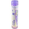 Boiron Arnica Montana 30 CH diluizione Hahnemanniana centesimale 80 granuli