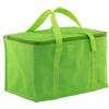 Borsa termica in poliestere personalizzata Freeze personalizzate o neutre