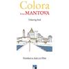 Oligo Professionnel Colora la tua Mantova. Colouring book. Ediz. illustrata